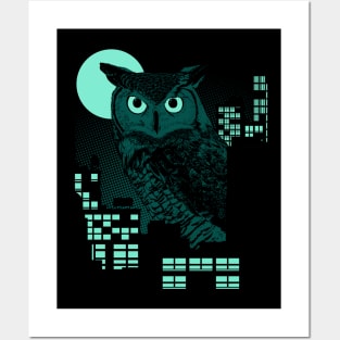 Night Owl Posters and Art